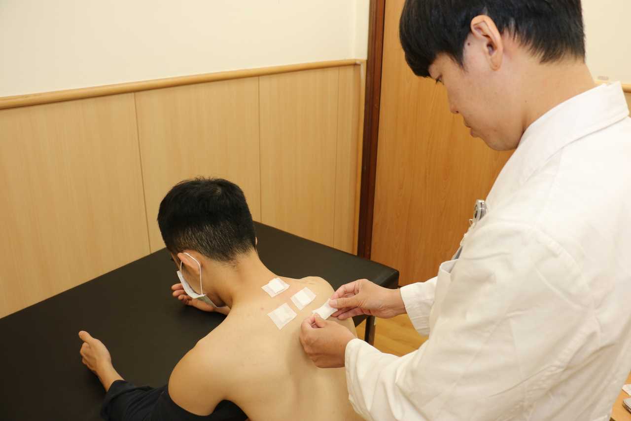當背俞穴遇上交感神經鏈：三伏貼臟腑調理的科學密碼